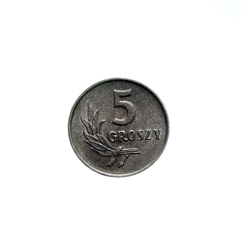 Bez-nazwy-141.jpg