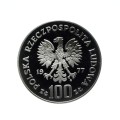 Bez-nazwy-50.jpg