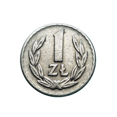 Bez-nazwy-245.jpg