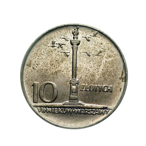 Bez-nazwy-253.jpg