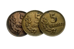 M03440 5 groszy 1949 rok Polska brąz 3 sztuki