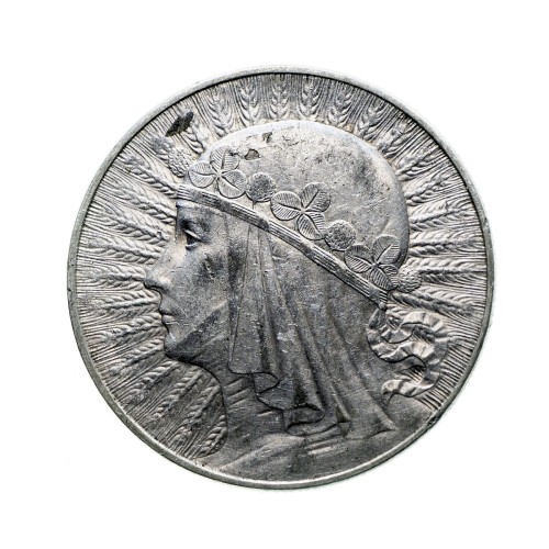 Bez-nazwy-158.jpg