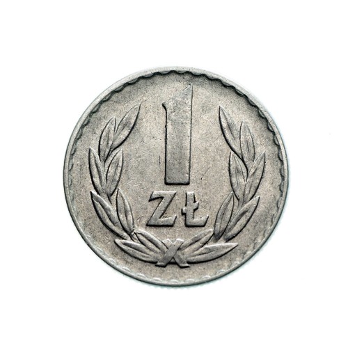 Bez-nazwy-347.jpg