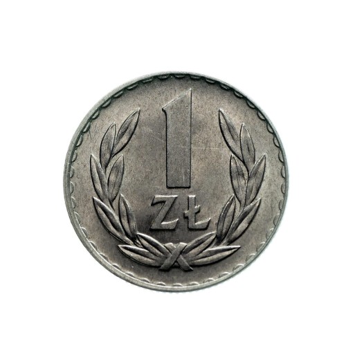 Bez-nazwy-127.jpg