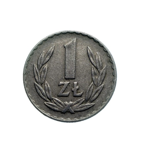 Bez-nazwy-175.jpg