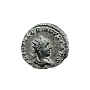 P0639 Antoninian 256-258 rok Rzym (Valerianus II) (bydło rogate)
