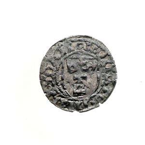 P0640 Szeląg bez daty Polska Kazimierz Jagiellończyk (Gdańsk)