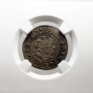 P0642 Grosz 1540 rok Zygmunt Stary Gdańsk NGC MS62 (rzadki, cudny)