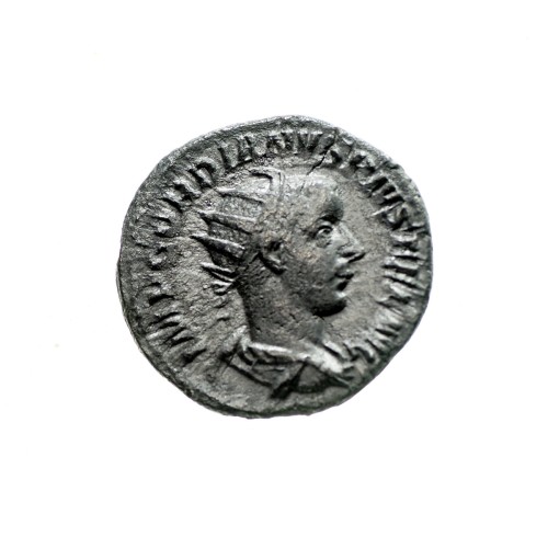 Bez-nazwy-195.jpg