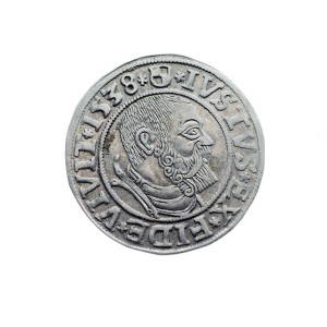 M04057 Grosz 1538 rok Królewiec Prusy Książęce A. Hohenzollern