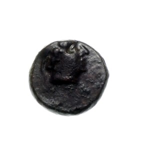 5887NS Brąz, AE11, Pantikapaion, Grecja, Bosfor 200-150 pne