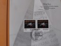 20220301_121851.jpg