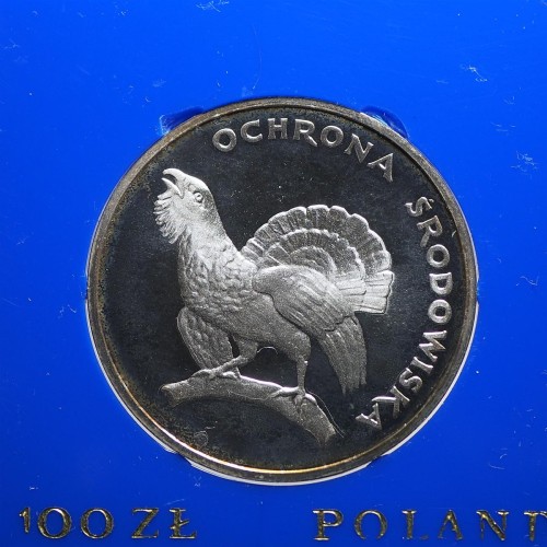 Bez-nazwy-7.jpg