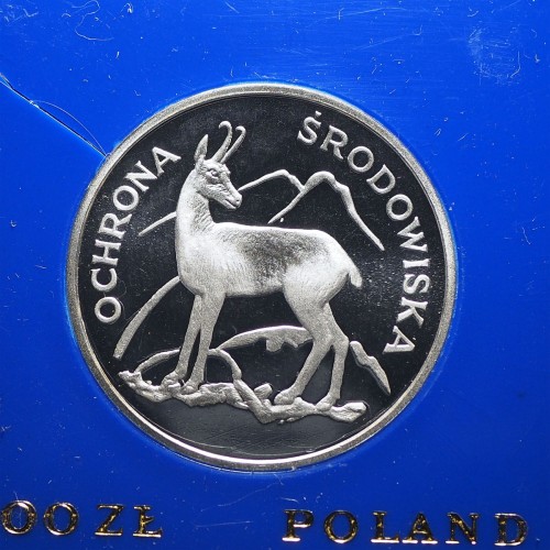 9242a.jpg