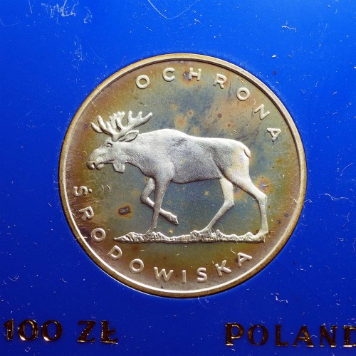 985a.jpg
