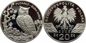 SN0079 20 złotych 2005 Puchacz