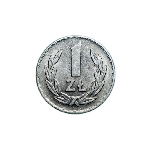 Bez-nazwy-65.jpg