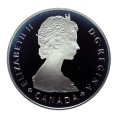 7838b.jpg