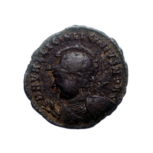 6832a.jpg