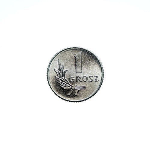 Bez-nazwy-3.jpg