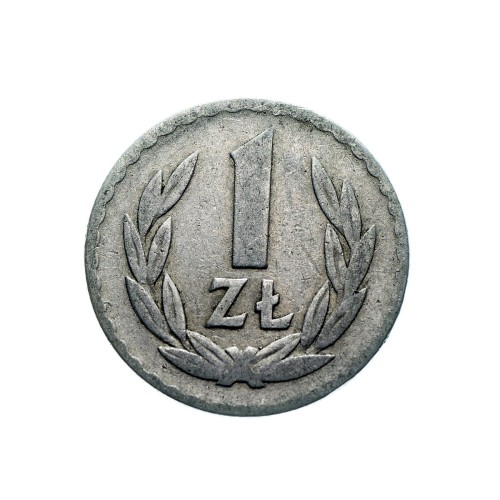 Bez-nazwy-77.jpg